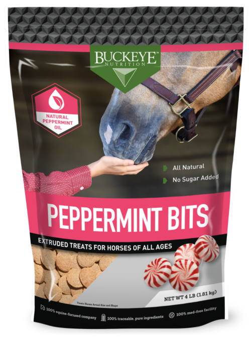 Peppermint Horse Treats by Buckeye™ Nutrition - Image 2