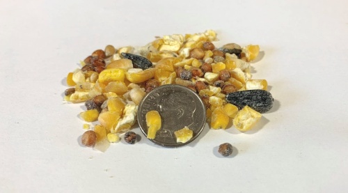 Thrifty Bird Seed