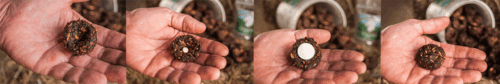 Dimples Horse Treats - easy medication administration - Image 6