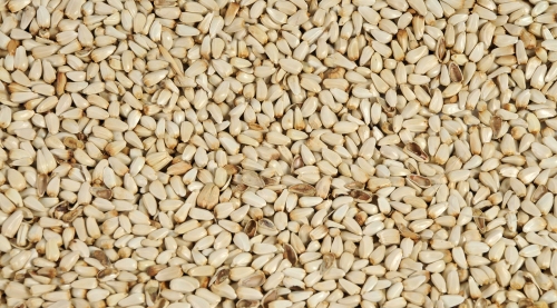 Safflower Seeds