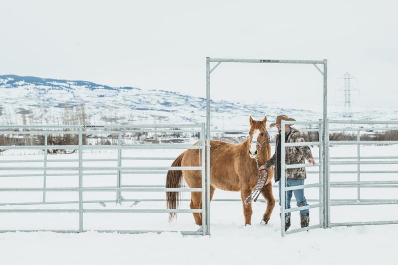80' Hot Dipped Galvanized Round Pen - 6' High