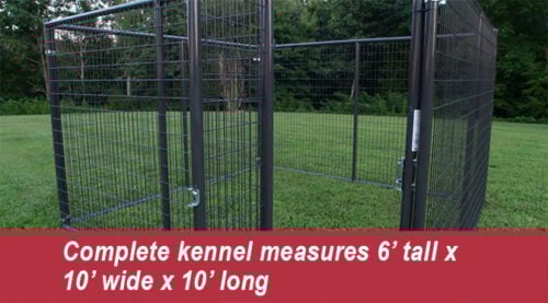 10' x 10' Heavy Duty Dog Kennel