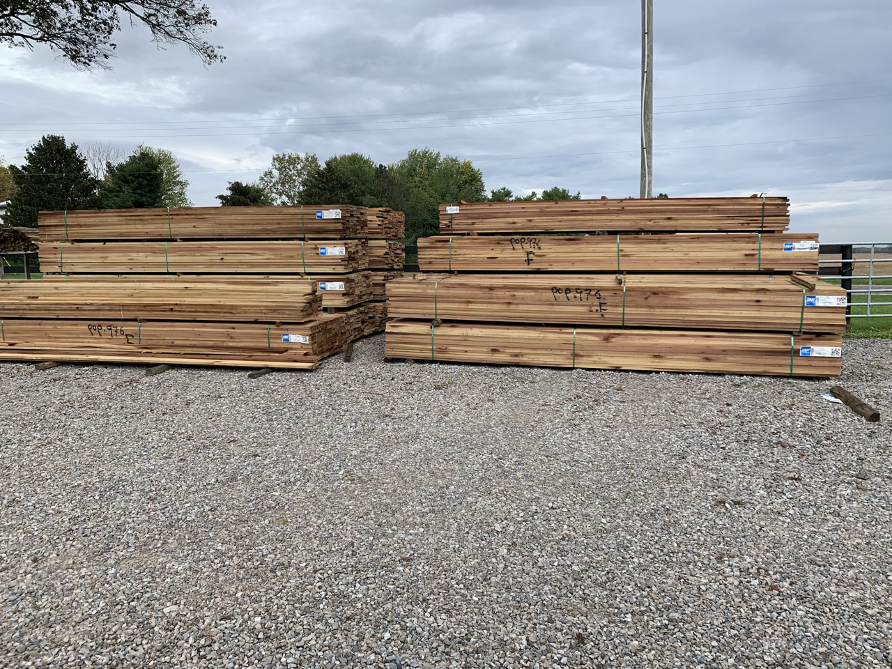 1” x 6” x 16’ Poplar Board - Image 4