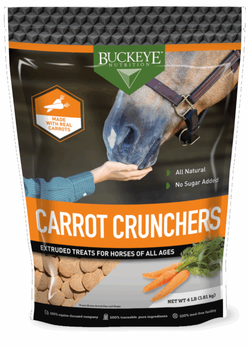 Carrot Horse Treats by Buckeye™ Nutrition - Image 2