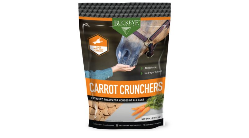 Carrot Horse Treats by Buckeye™ Nutrition