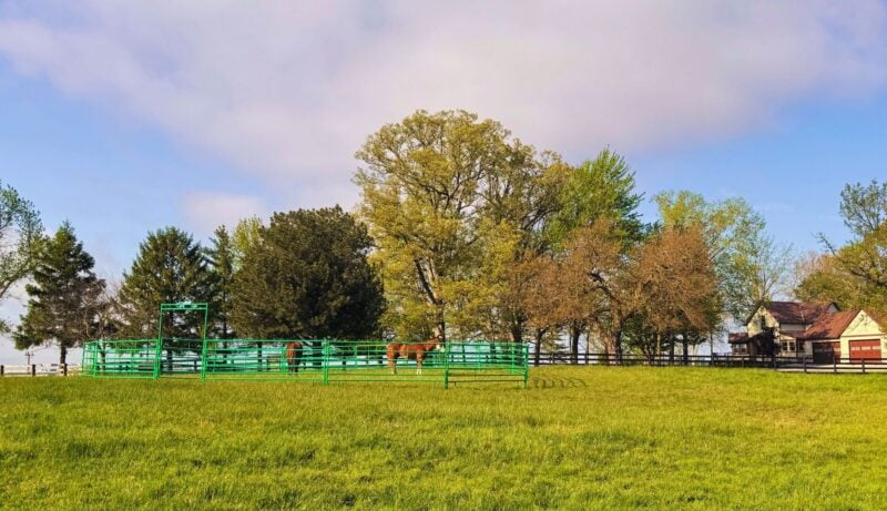 5' High Cashmans CS Horse Panel