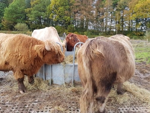 Stable Ground Mud Solution 1-30 - Image 9