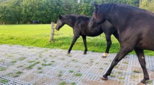 Stable Ground Mud Solution 1-30