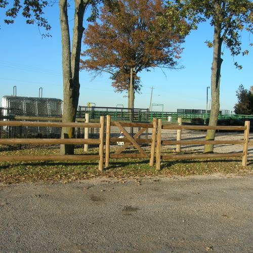 11' Split Rail - Image 3