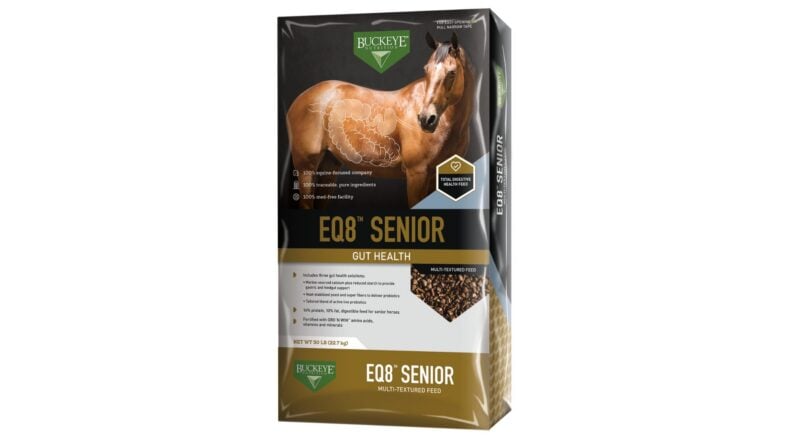EQ8 Senior