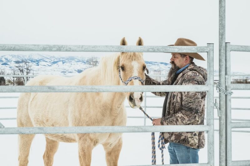 50' x 100' Hot Dipped Galvanized Arena