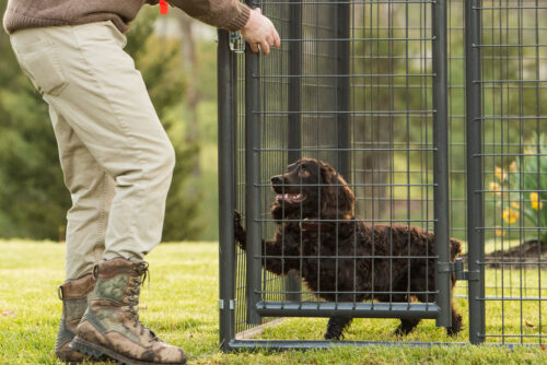 Double Door Kennel Front 10' - Image 4