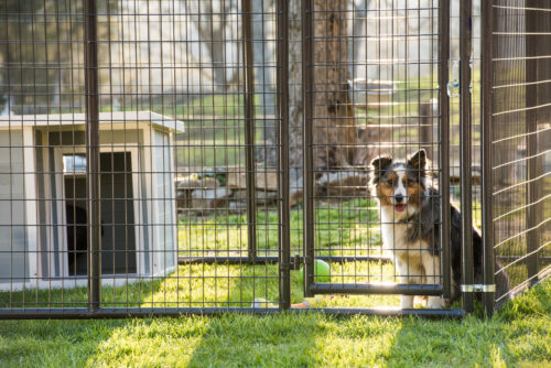 Double Door Kennel Front 10' - Image 2