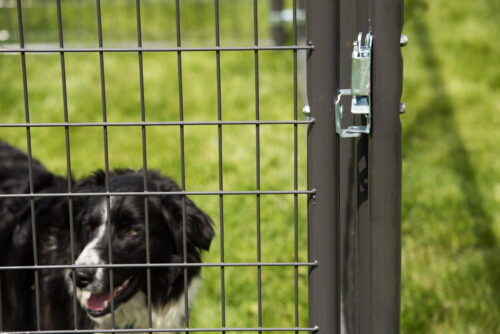 Double Door Kennel Front 10' - Image 3