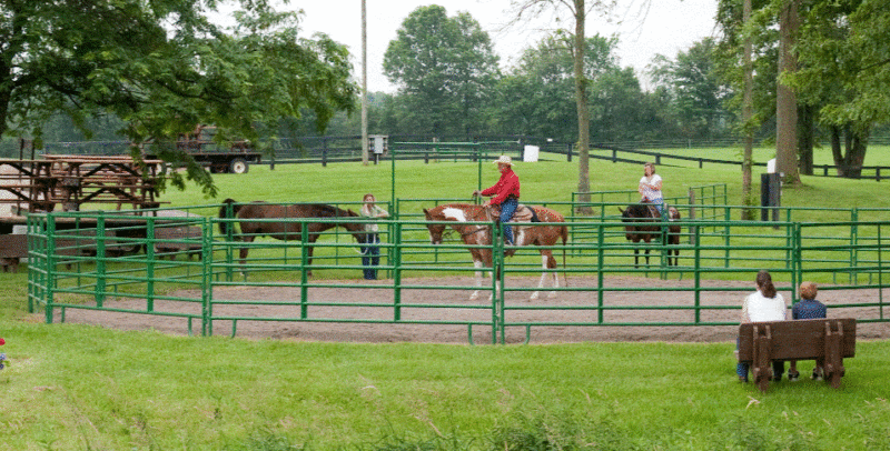 60' Cashman Super Duty Horse Round Pen - 6' High