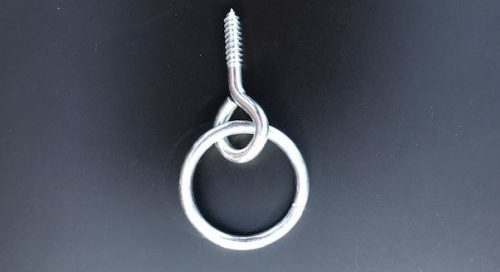 Ring and Screweye Ring and Screweye