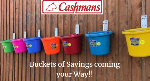 buckets of savings buckets of savings